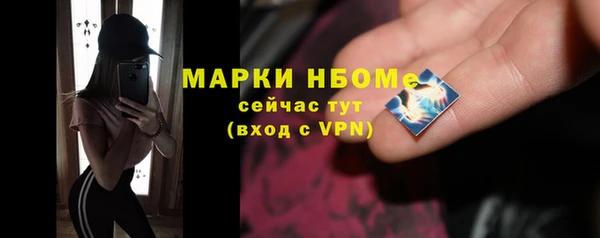СК Алексин