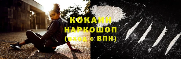 СК Алексин