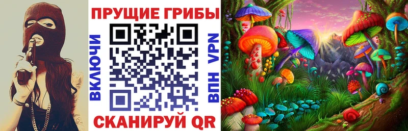 Псилоцибиновые грибы Psilocybine cubensis  купить закладку  Бирюч 